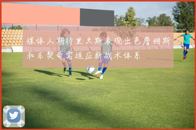 媒体人期待里夫斯表现出色詹姆斯和东契奇需适应新战术体系
