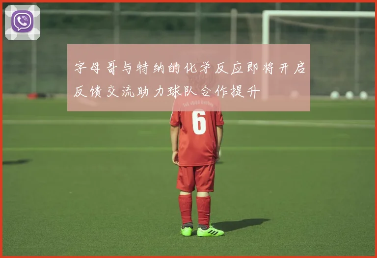 字母哥与特纳的化学反应即将开启反馈交流助力球队合作提升