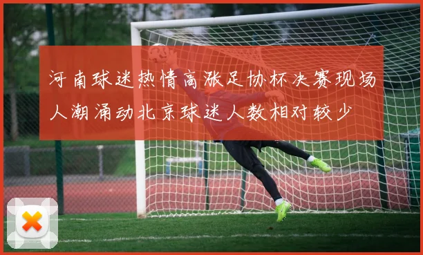 河南球迷热情高涨足协杯决赛现场人潮涌动北京球迷人数相对较少