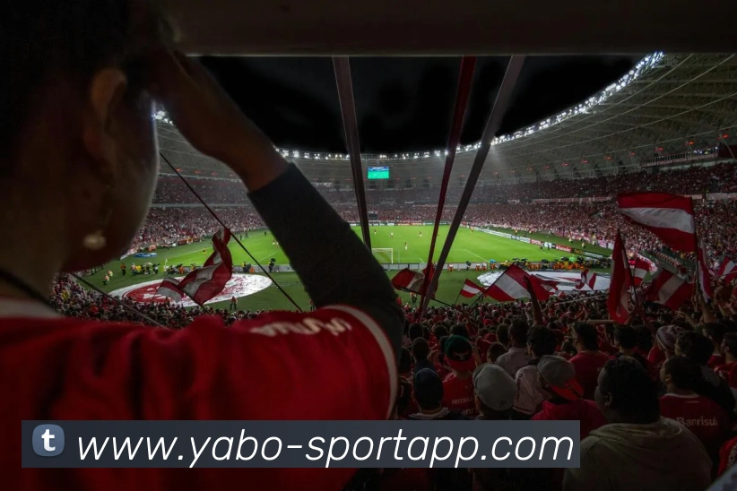 多媒体互动体验